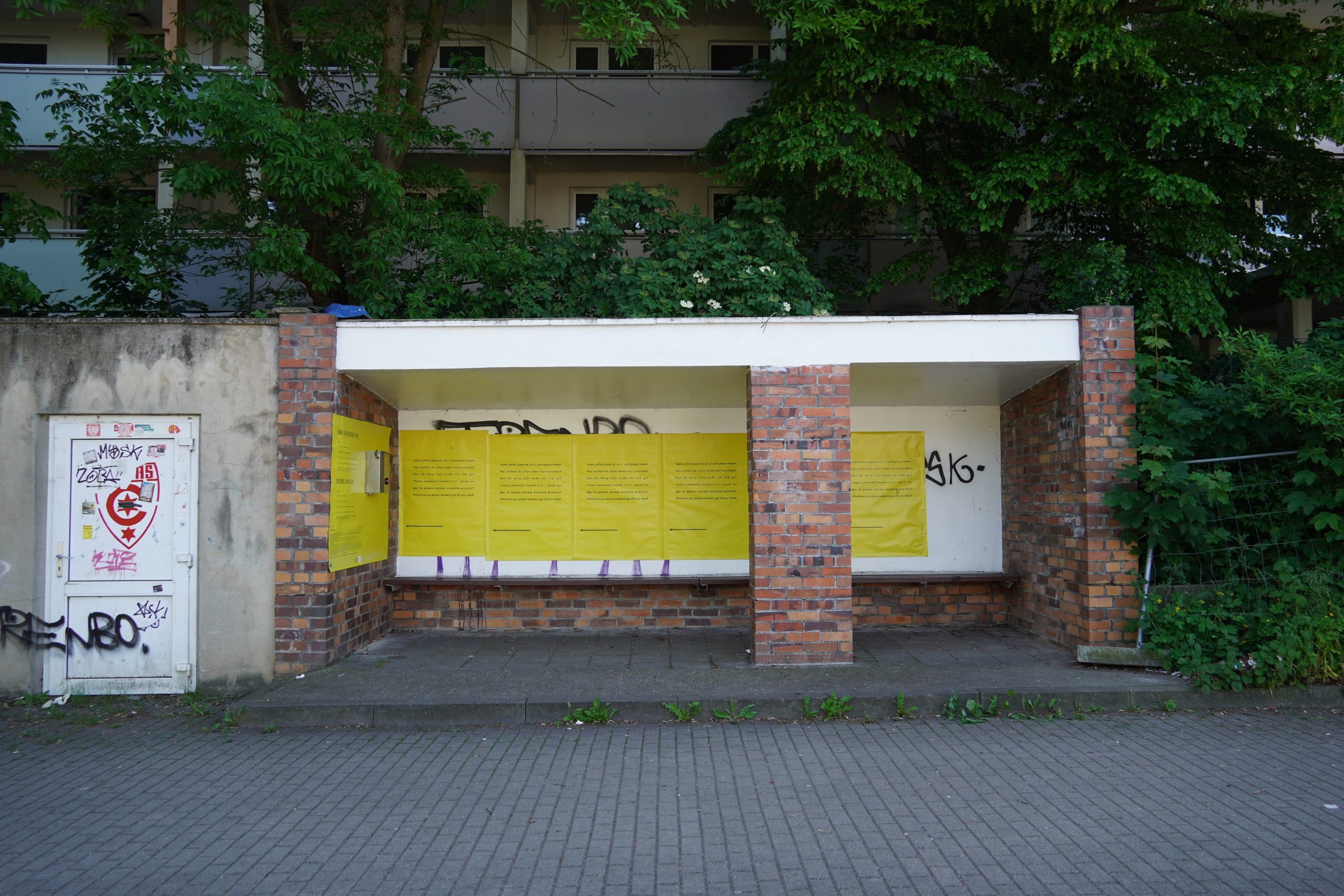 DSC04649